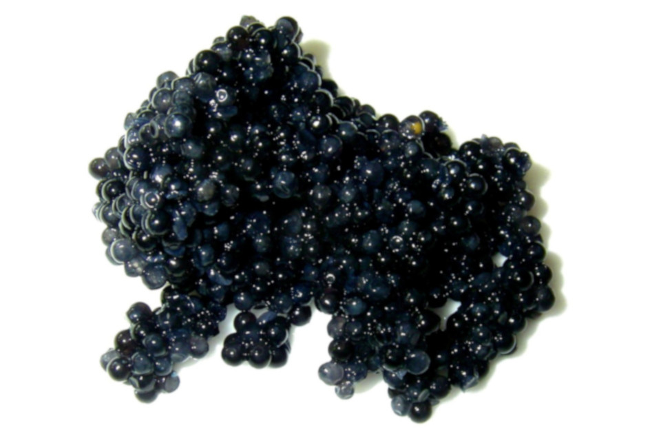 Kaviar Nachtcremes sind wahre Wundermittel in der Kosmetik